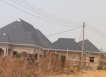 Original Roofing Sheet